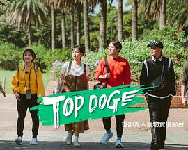 樱花视频《TOP DOG》免费在线观看