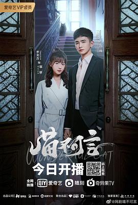 橘子视频《喵不可言》免费在线观看