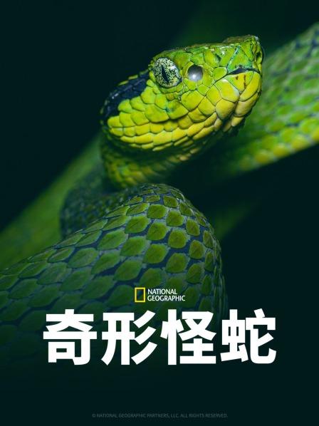 橘子视频《奇形怪蛇》免费在线观看